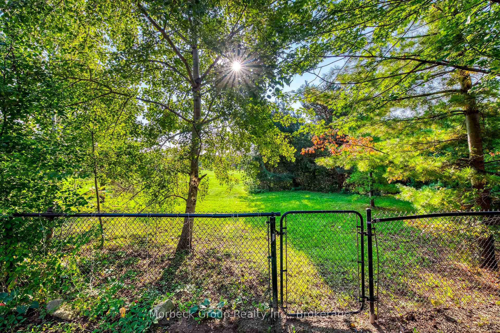 Property photo 31