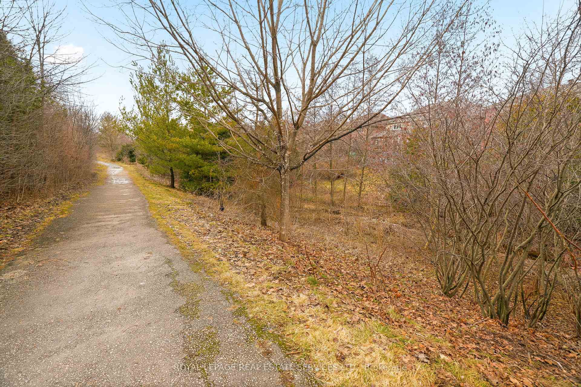Property photo 44