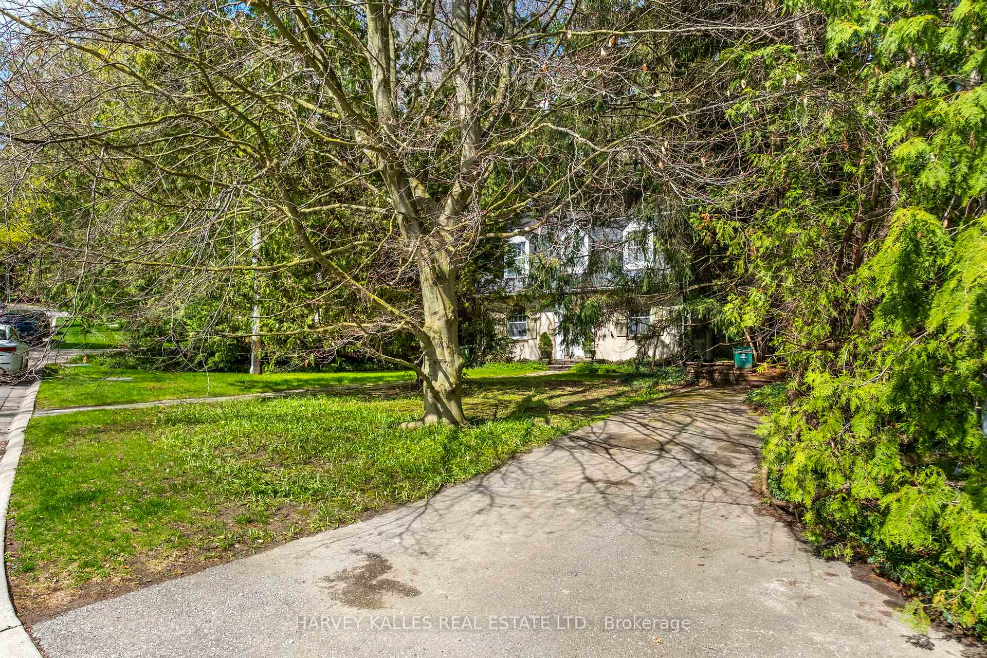 38 Donwoods Drive